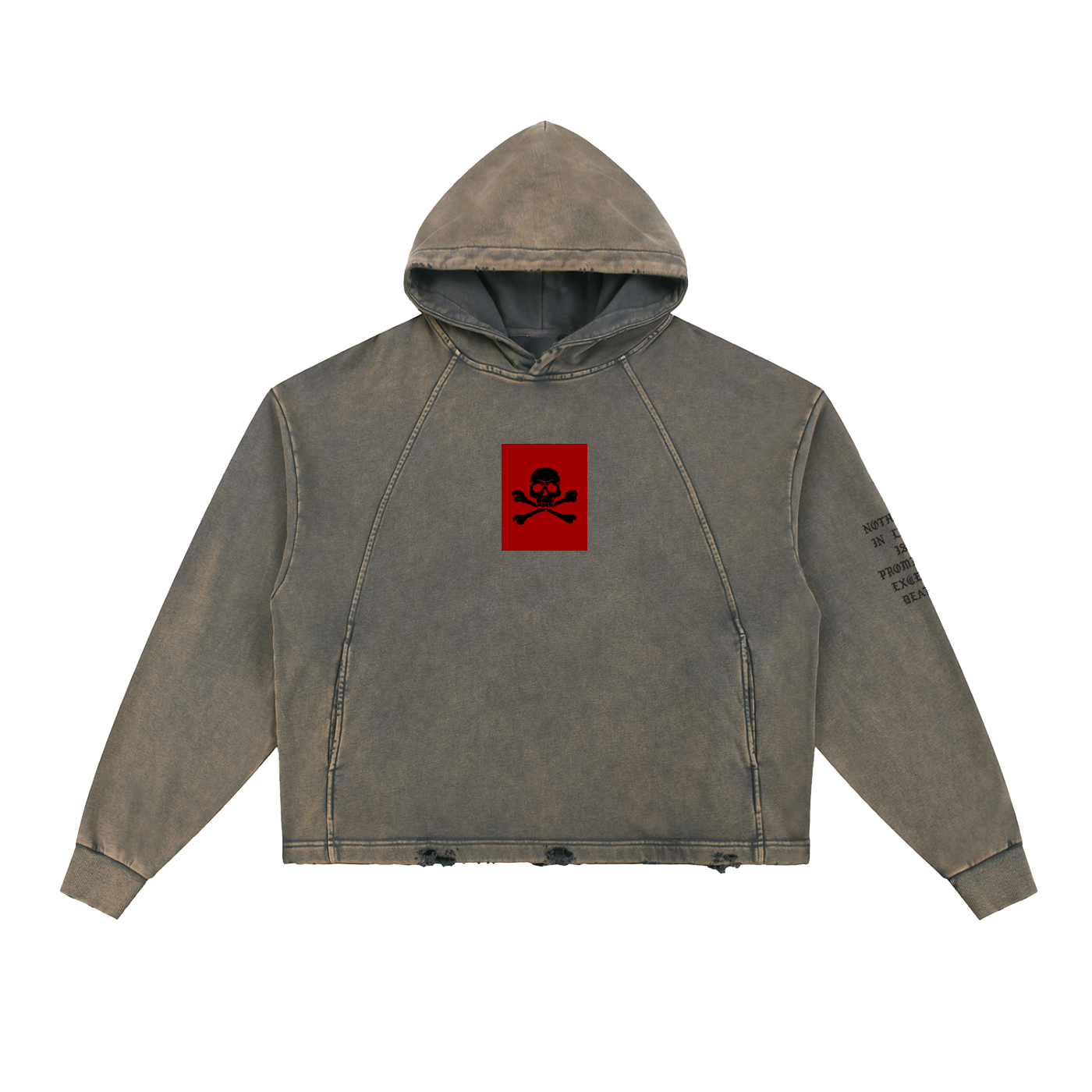 EXCEPT DEATH - Hoodie